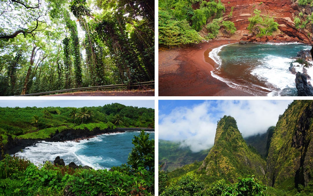 natuur op Maui Hawaii