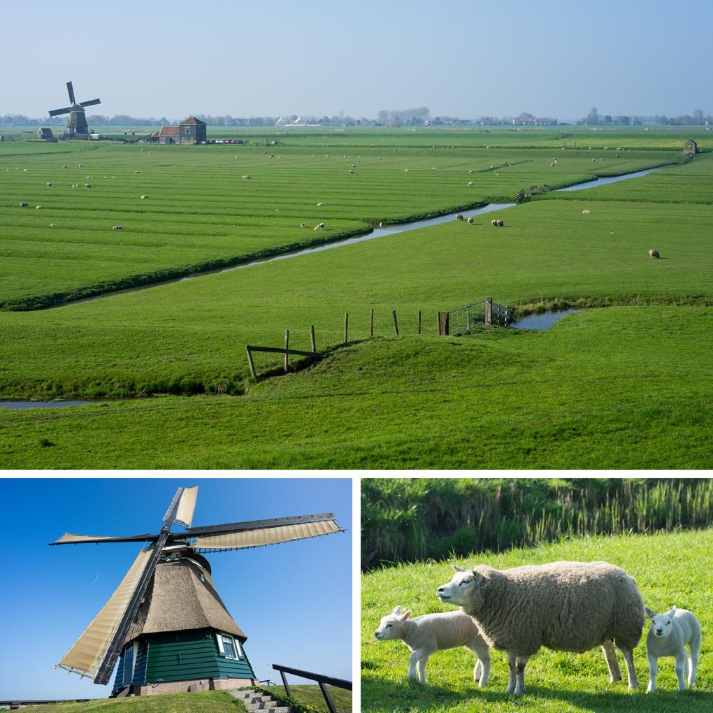 natuur Laag Holland