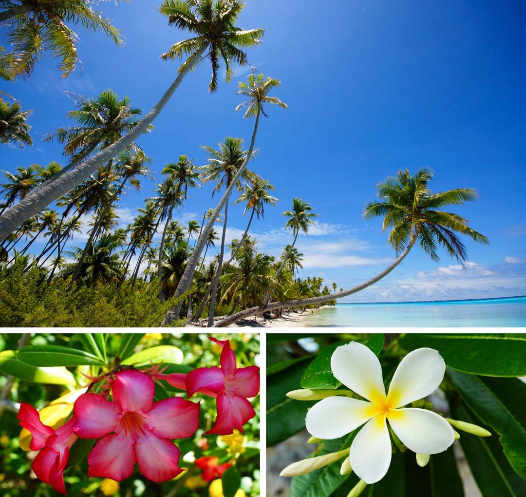 Fakarava Frans Polynesië