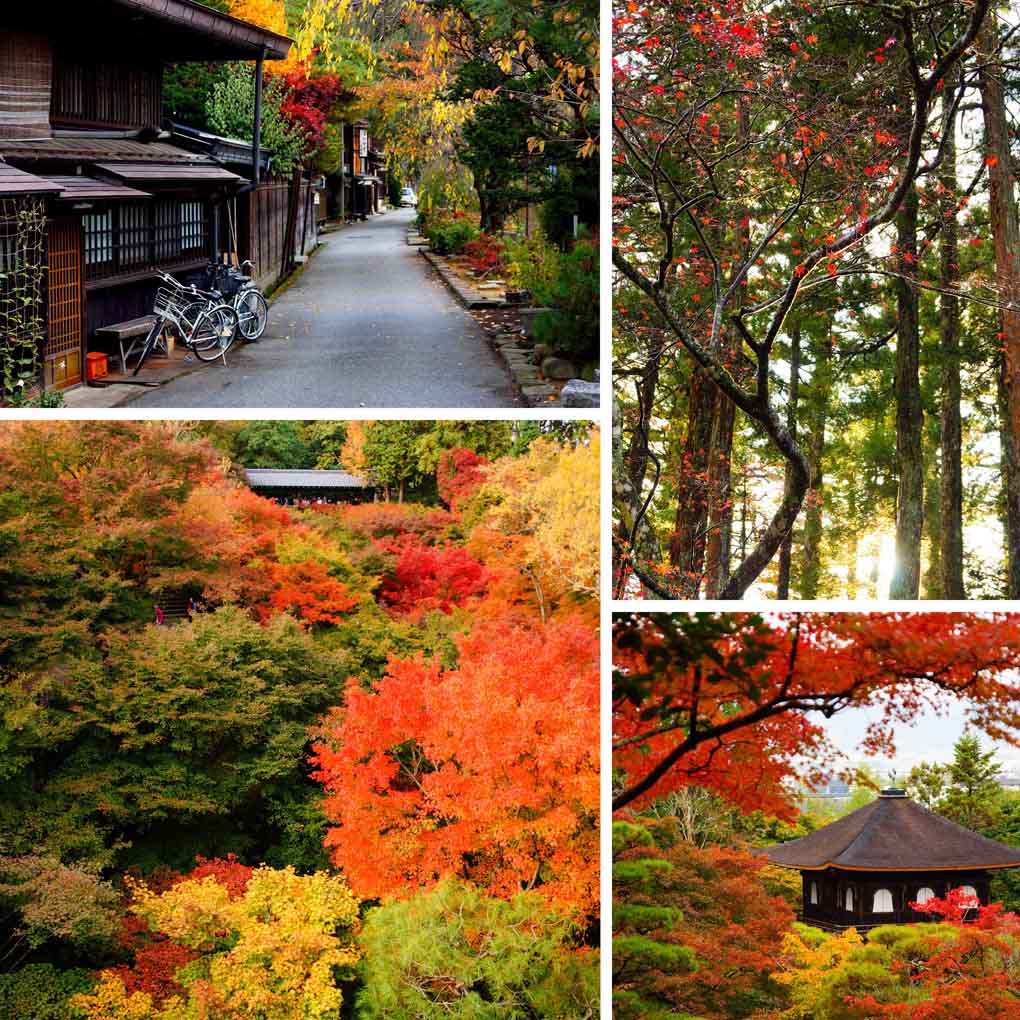 Japan herfst