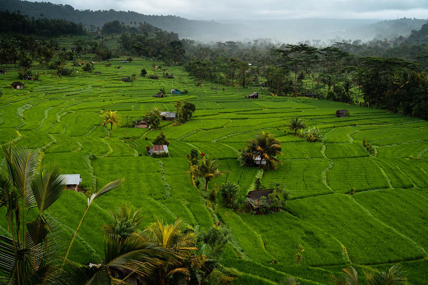 rijstvelden Sidemen Bali