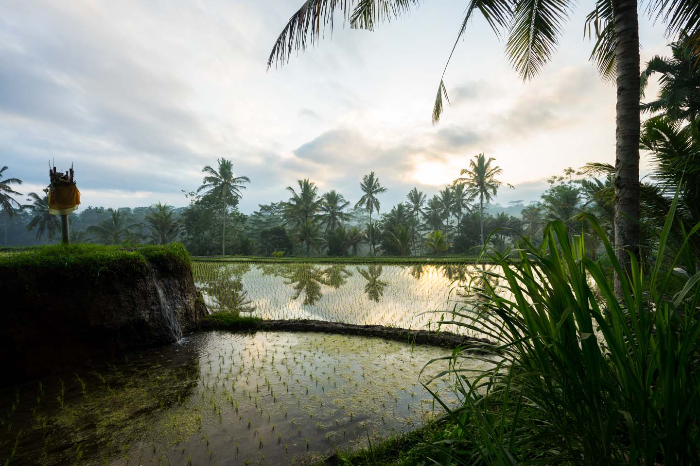 fotografie Bali