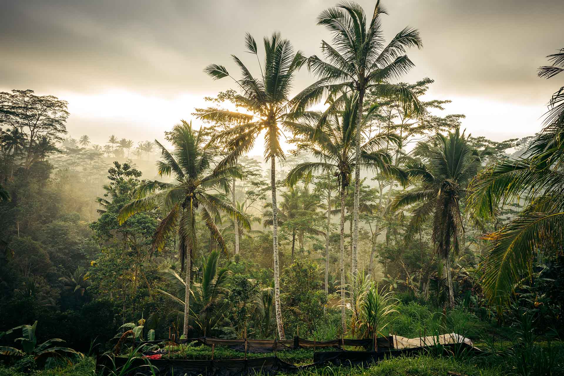 Fotografie Bali: een dag op pad met een lokale fotograaf