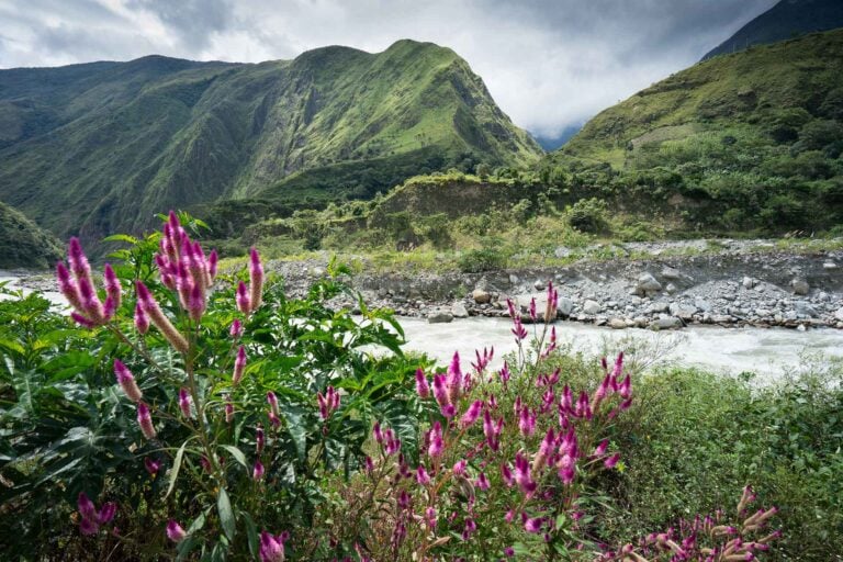 Koffieroute Peru