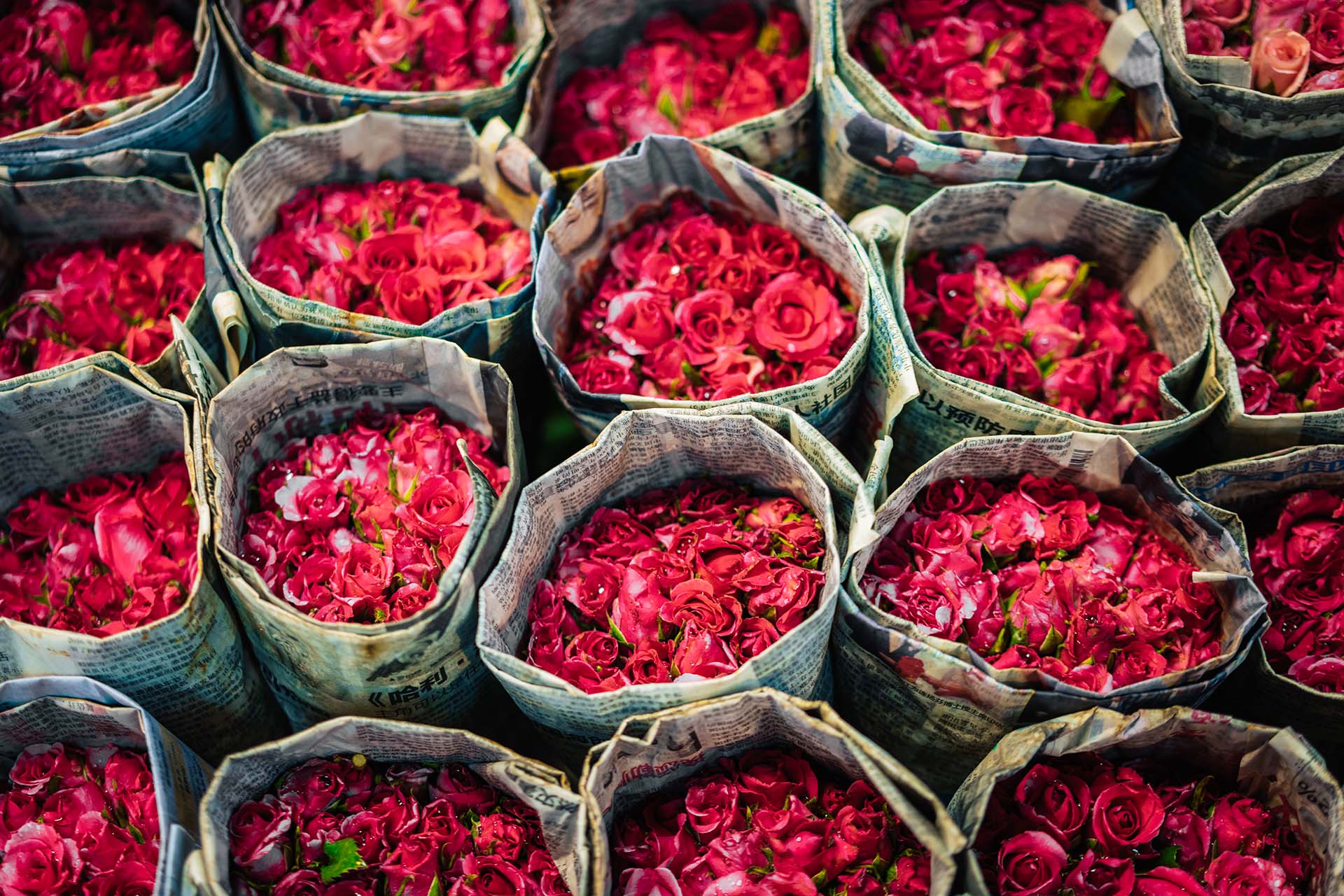 Tour markten Bangkok: van bloemenmarkt tot hippe nachtmarkt