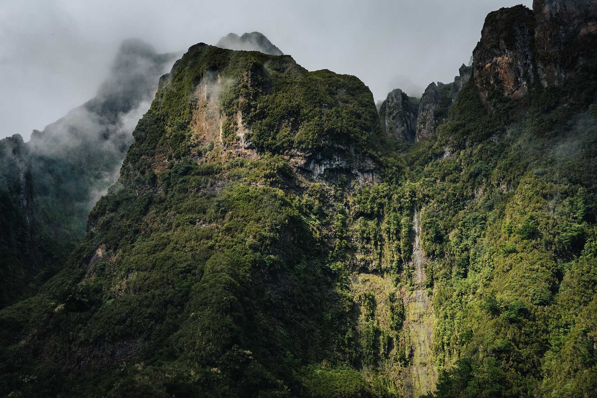 Wandelen op Madeira: de jungle van PR9 Levada do Caldeirão Verde