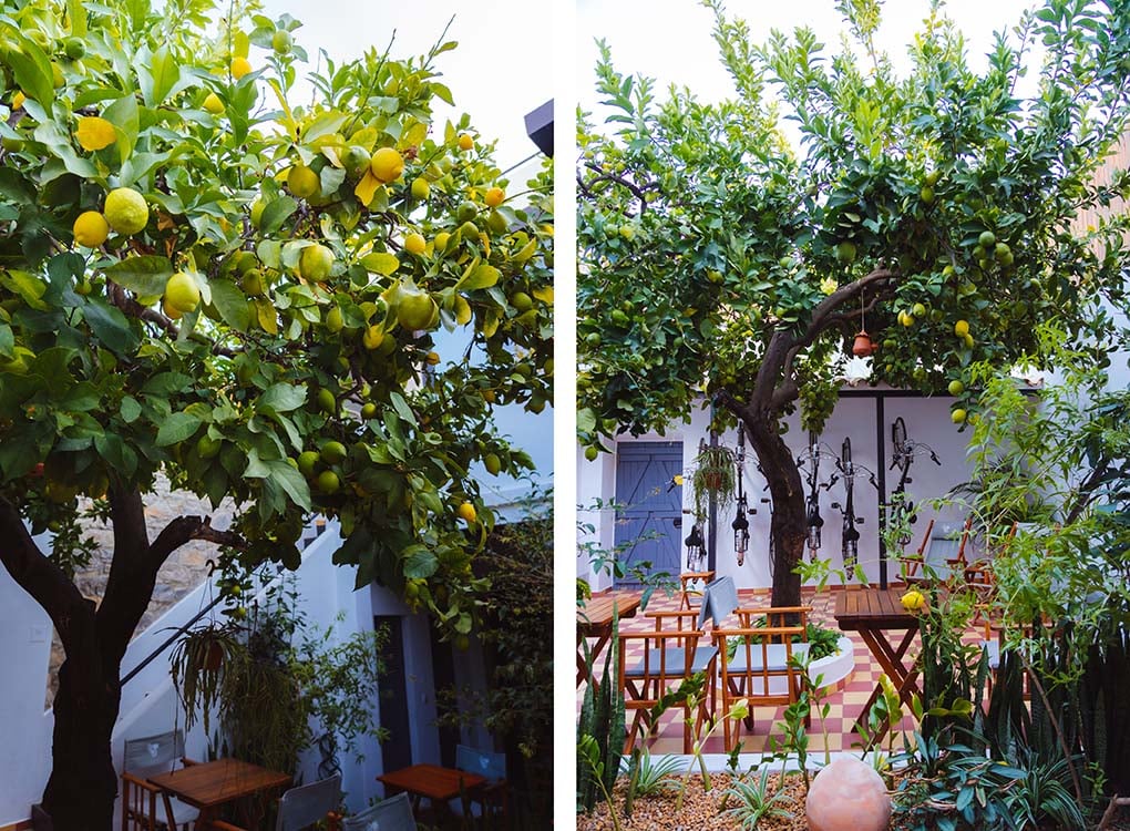 Lemon Tree Stay Faro