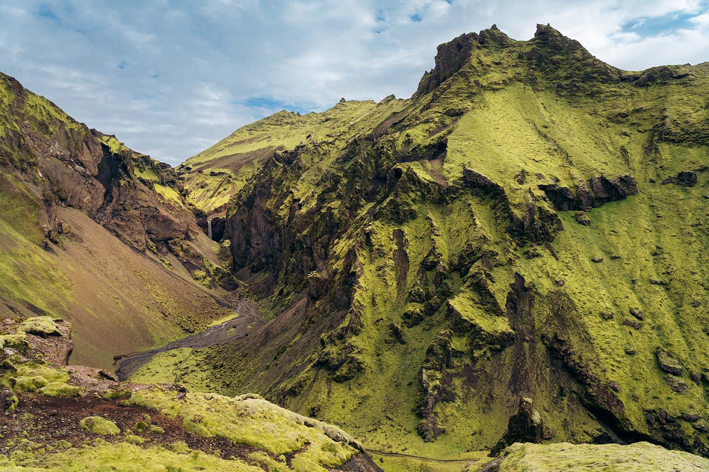 ravijn met groen bemoste bergen Thakgil IJsland