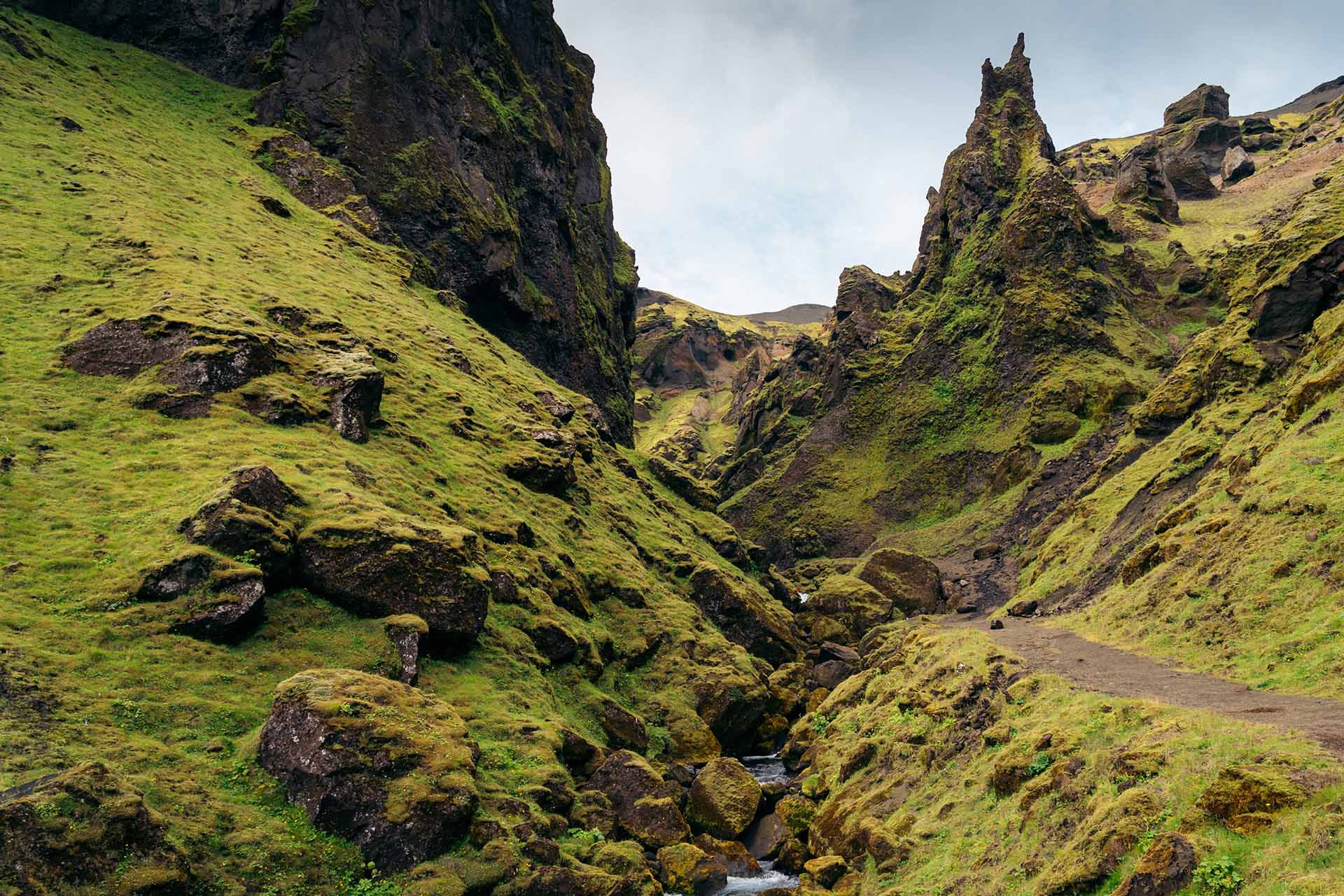 Thakgil in IJsland: wandelparadijs tussen groene bergen en gletsjers