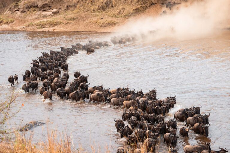 Grote Trek Tanzania