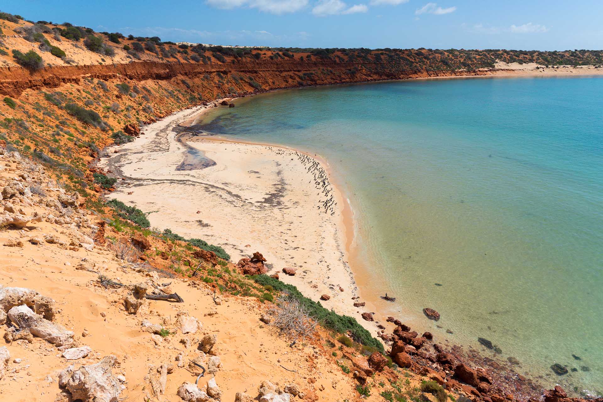 Zien en doen in UNESCO-gebied Shark Bay in West-Australië