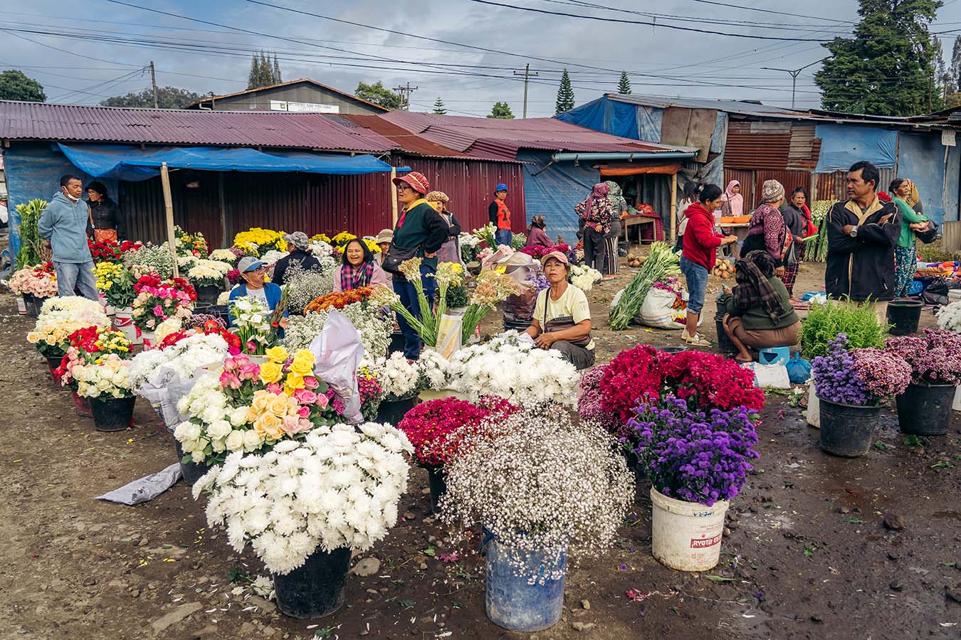 Bloemenmarkt Berastagi