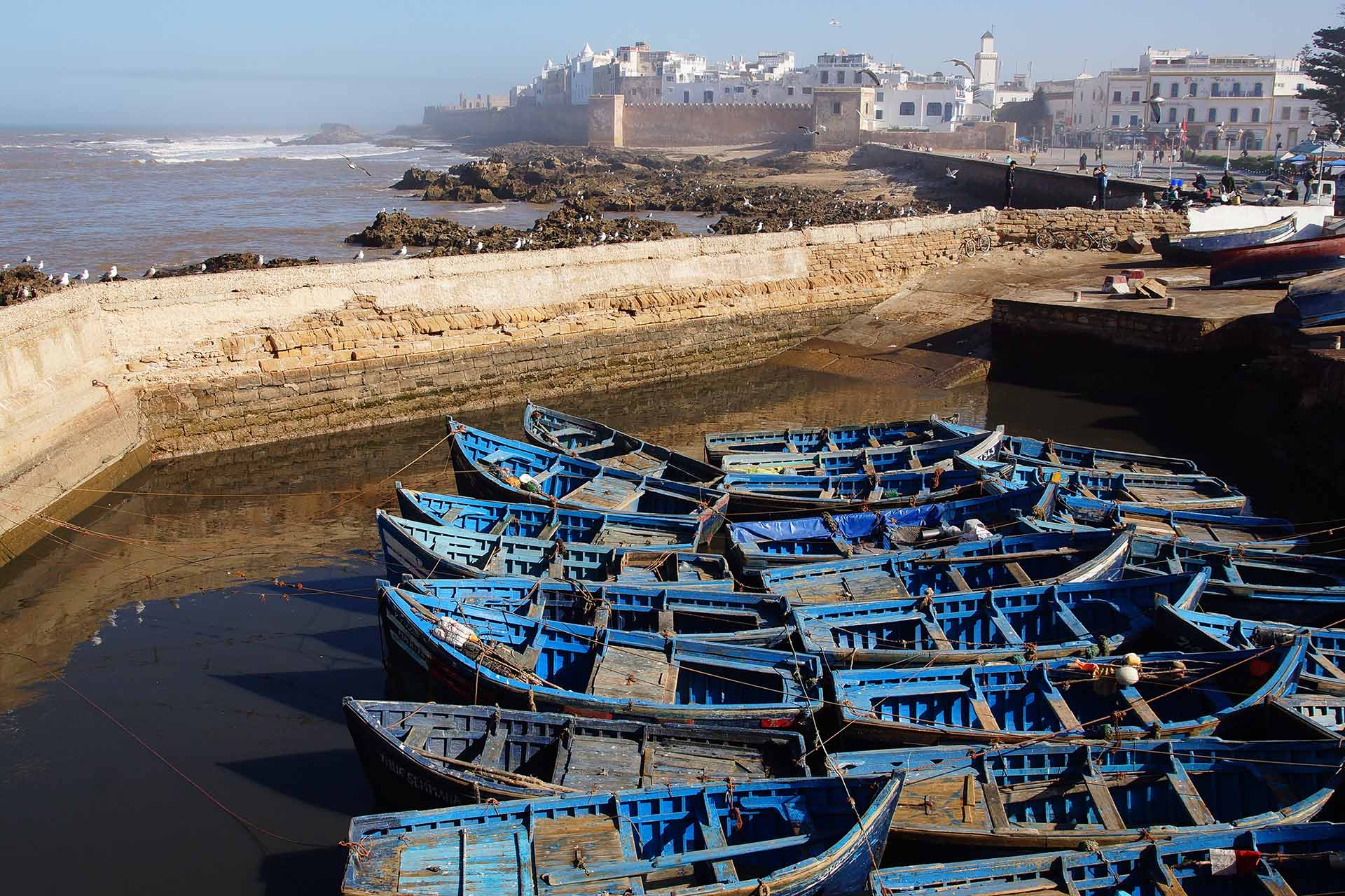 Wat te doen in Essaouira? Sfeervolle afsluiting van een reis door Marokko