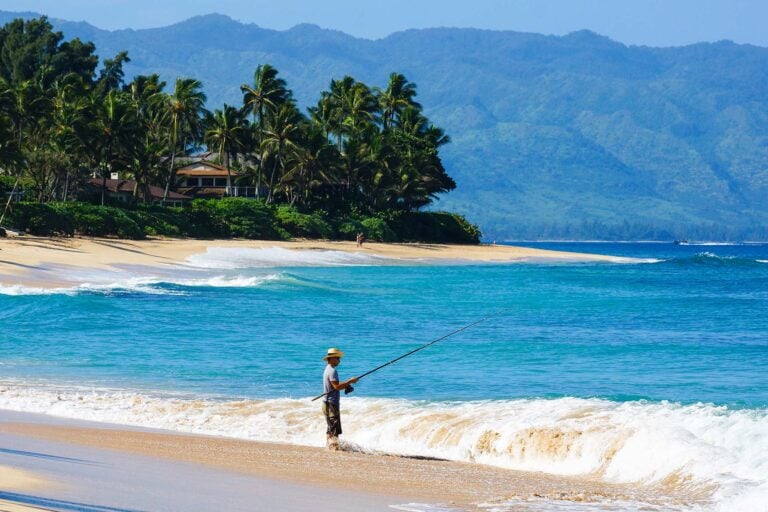 The North Shore Oahu