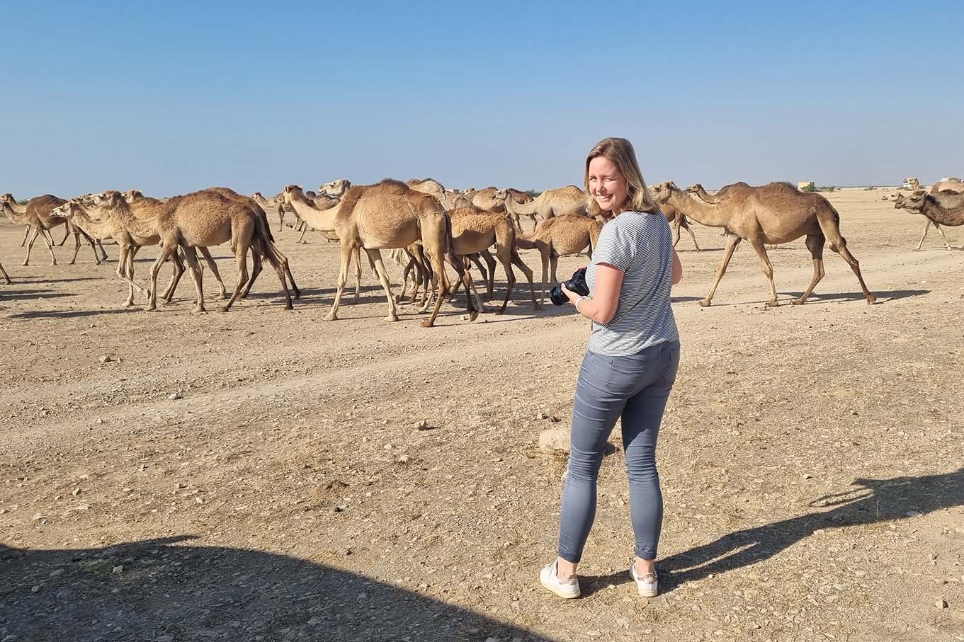 kamelen Oman