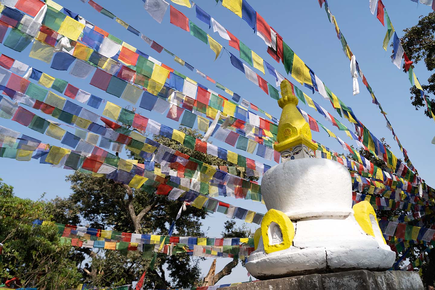 Gebedsvlaggen bij stupa Nepal