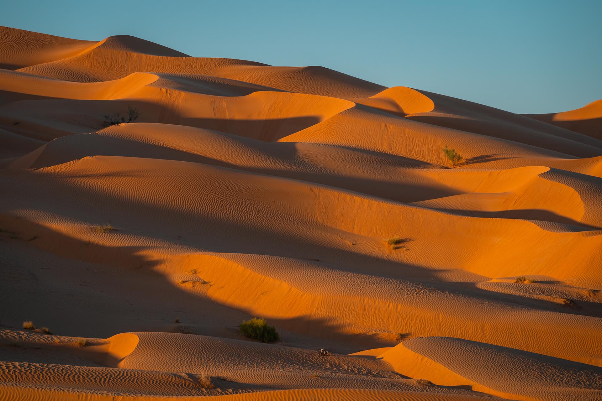 Woestijn Empty Quarter Oman