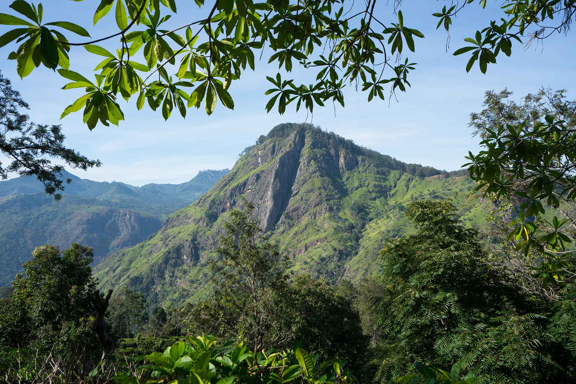 bergen rond Ella Sri Lanka