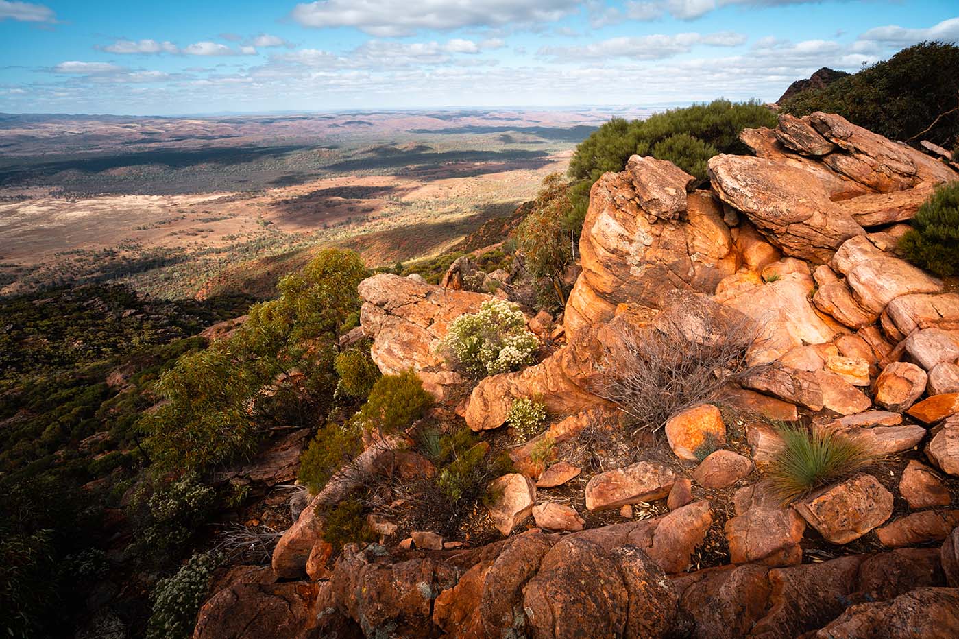 Mount Olssen Bagge Flinders Ranges