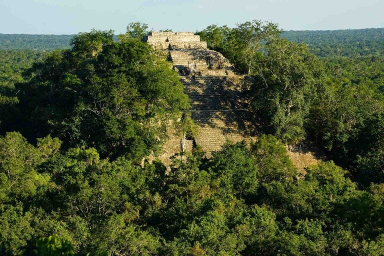 Maya-tempel steekt boven de jungle uit in Mexico