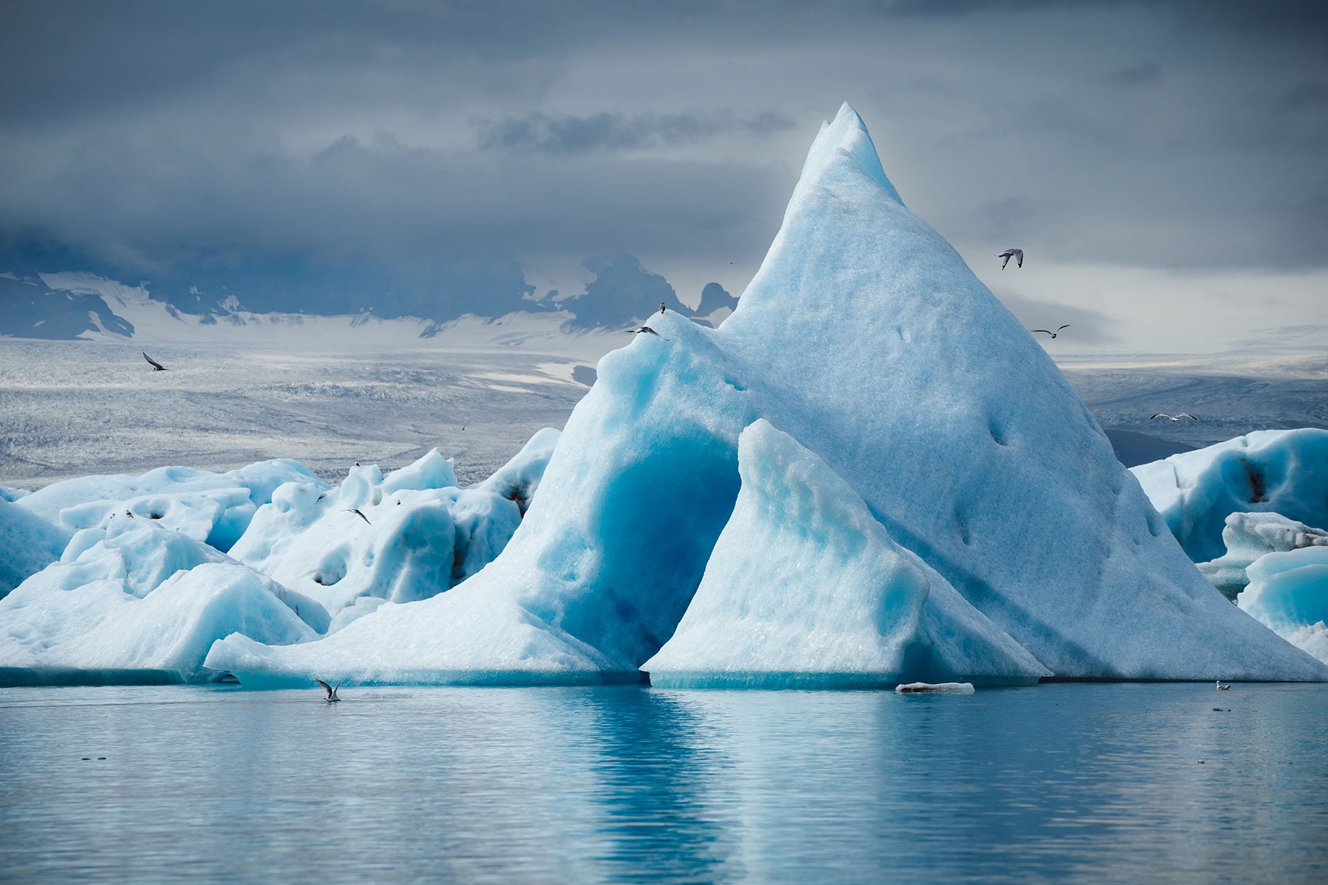 grote puntige ijsberg bij een gletsjer in IJsland omringd door vogels