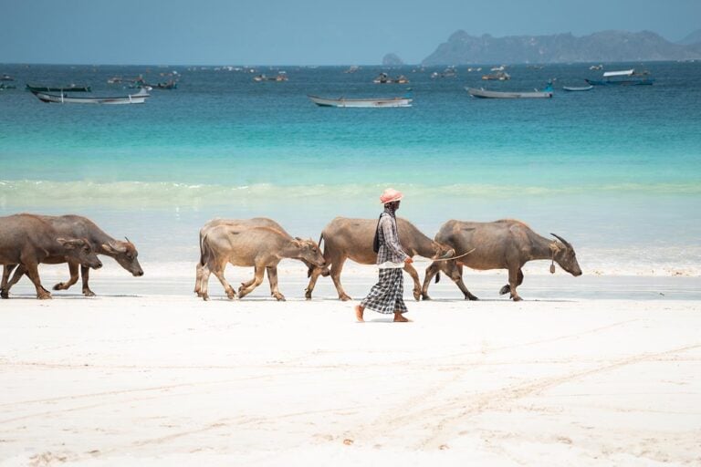 Buffels strand Lombok