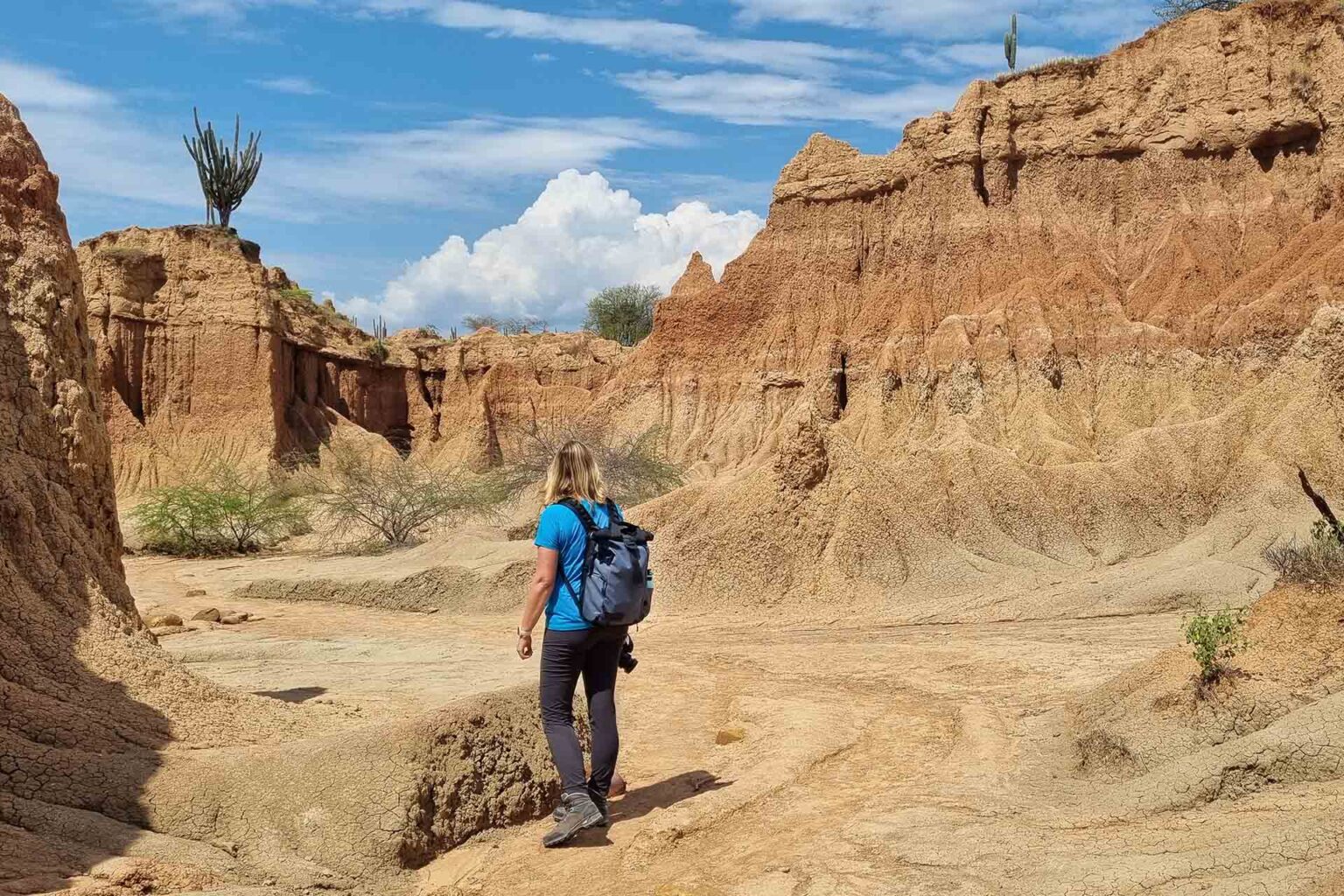 10x de beste camerarugzak voor op reis in 2026 - Karlijn Travels