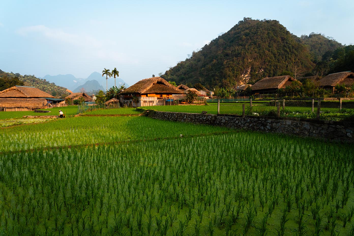Dorp Ha Giang in de rijstvelden