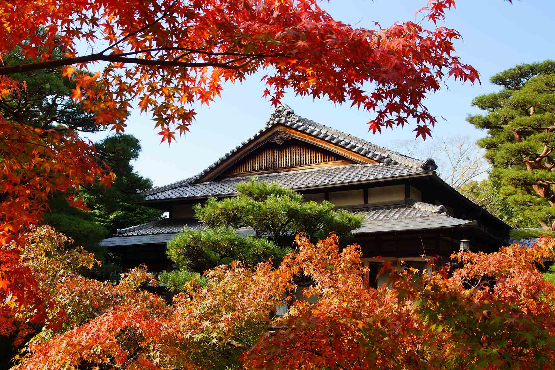 tempel tussen de bomen met herfstkleuren in Japan