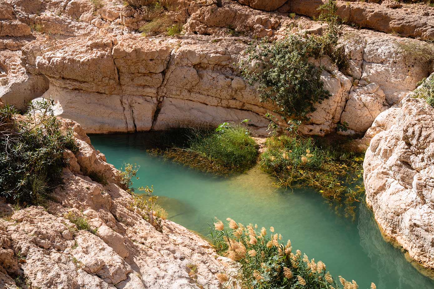 Turquoise poelen Wadi Shab