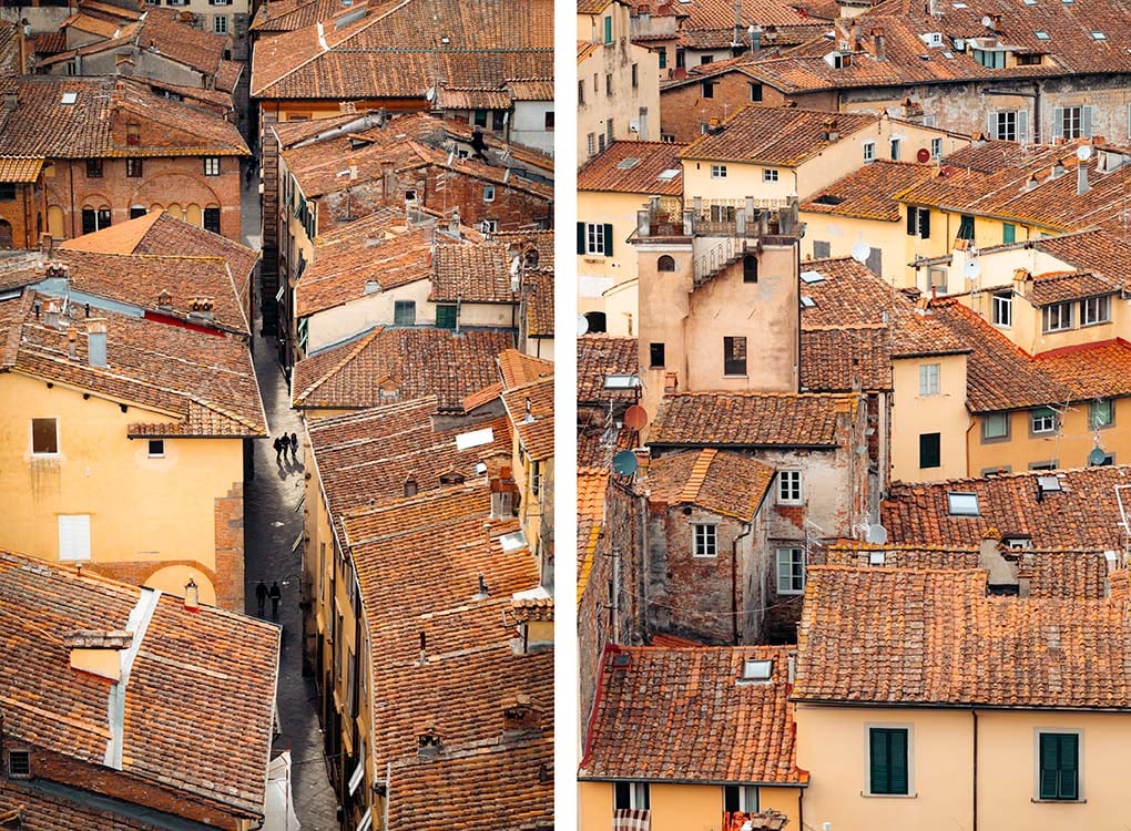 Uitzicht over terracotta daken Lucca