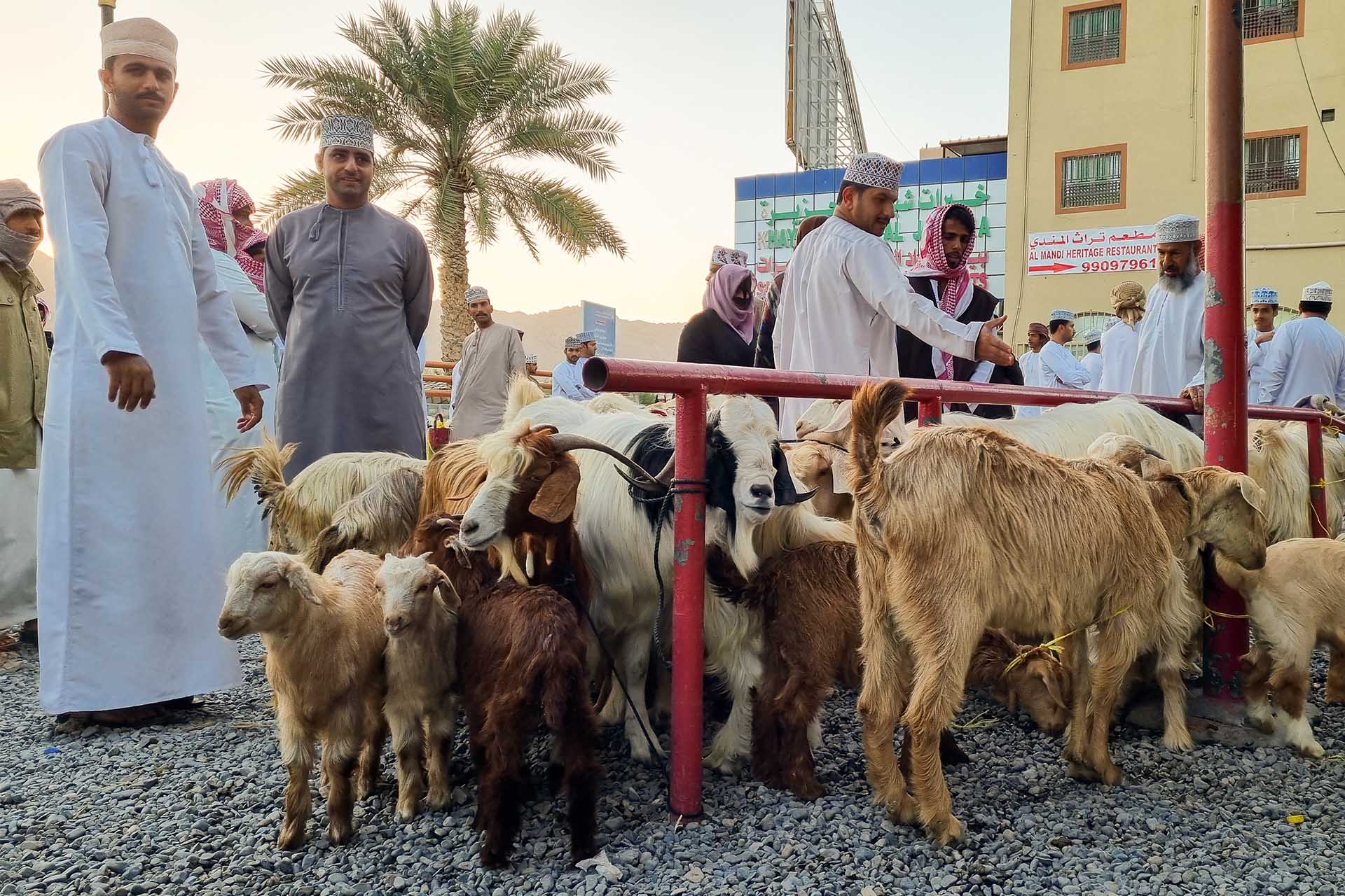 geitenverkopers en geiten in Nizwa Oman