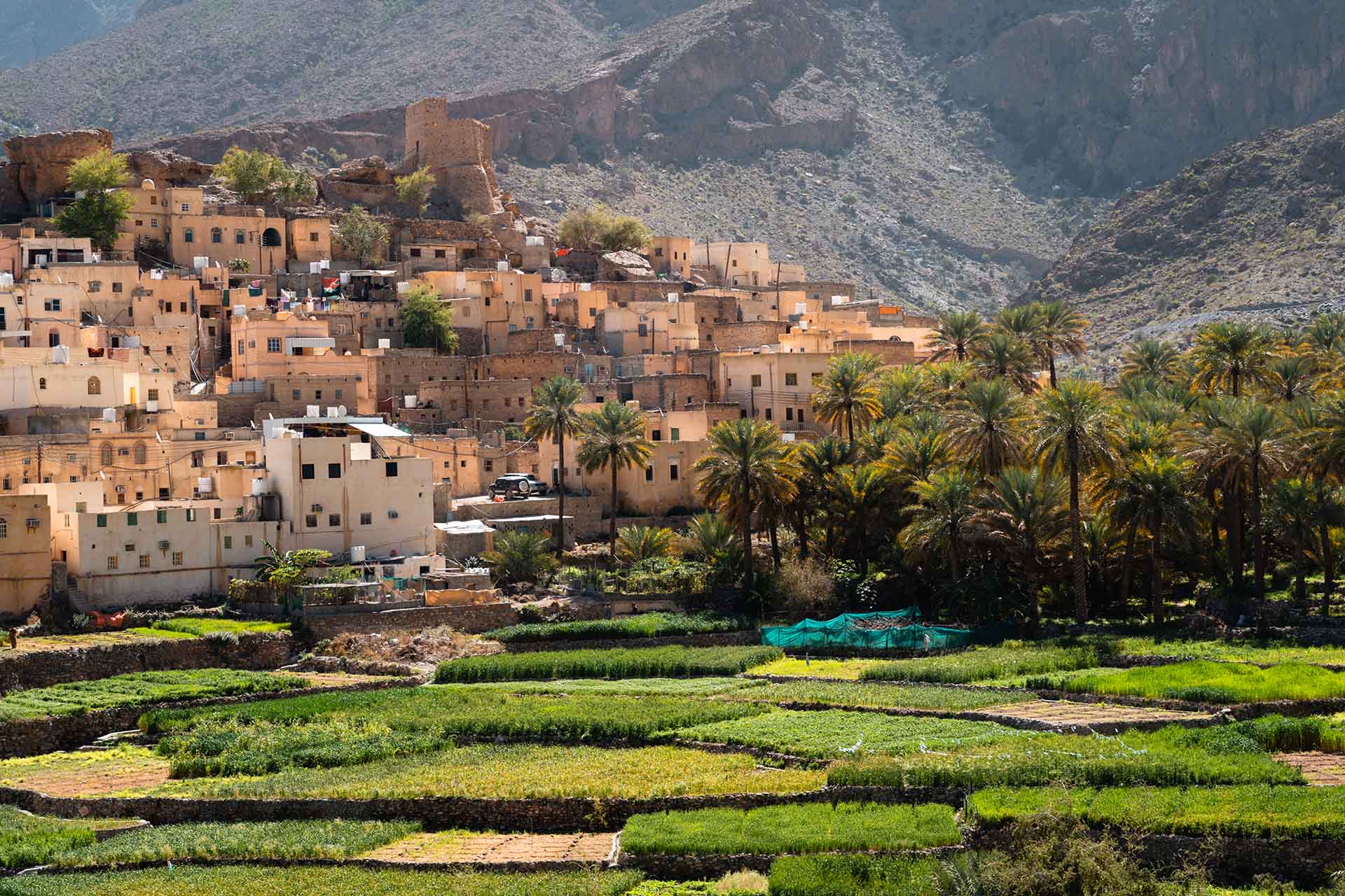 traditioneel dorp bij groene velden en bergen in Oman
