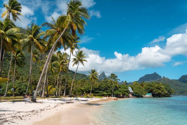 strand met palmen en bergen op Moorea