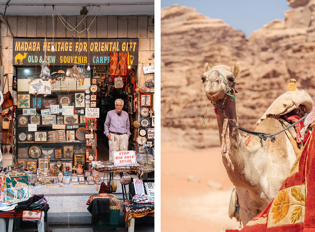 kameel in Jordanië