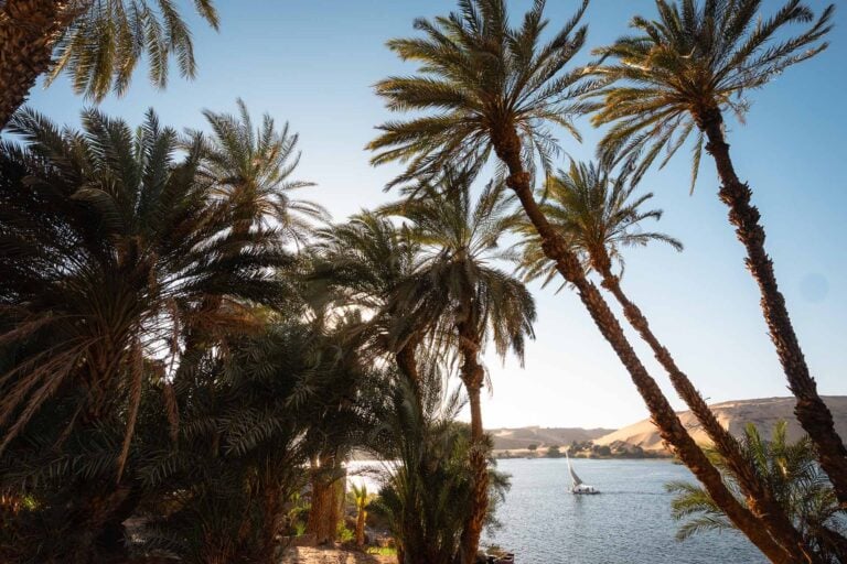 uitzicht op de Nijl omzoomd door palmen in Aswan Egypte