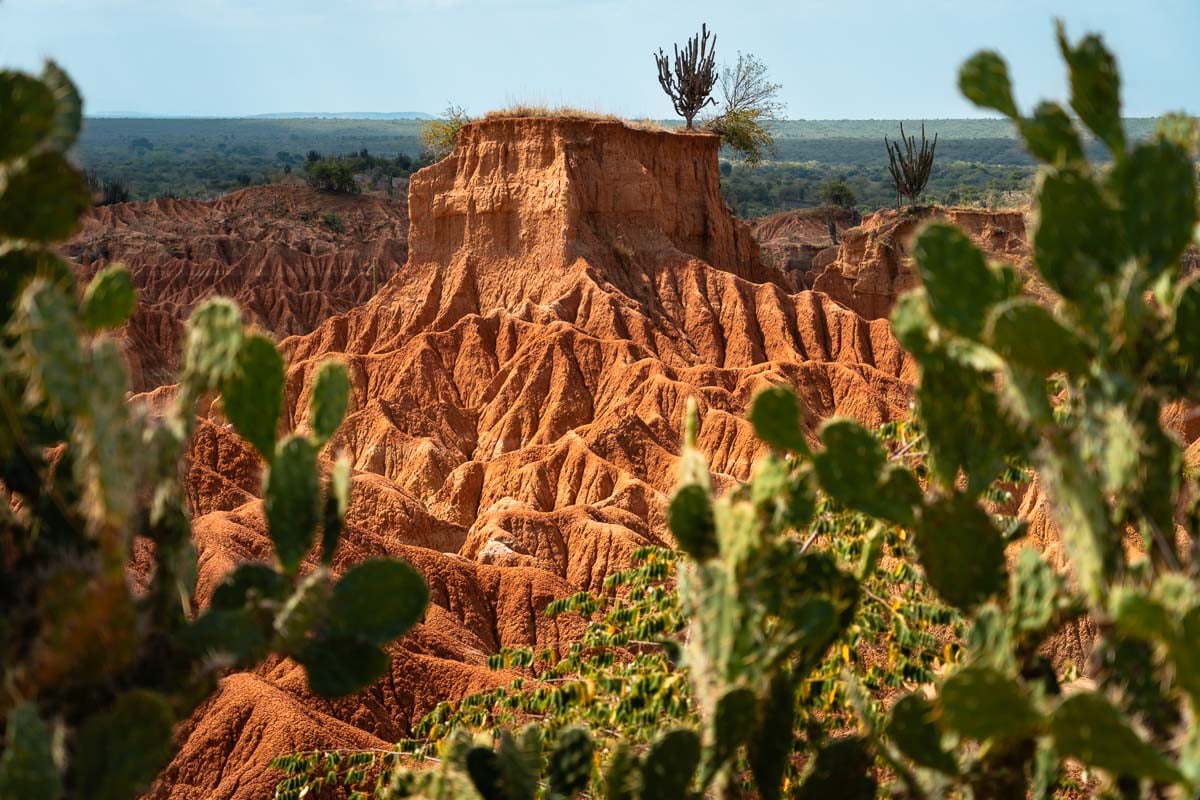 rood gesteente in Tatacoa-woestijn met cactussen