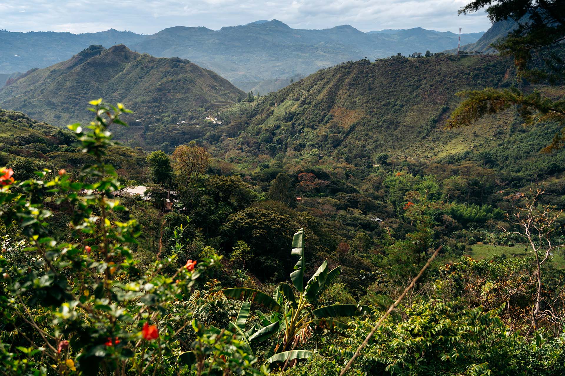 begroeide bergen Tierradentro Colombia