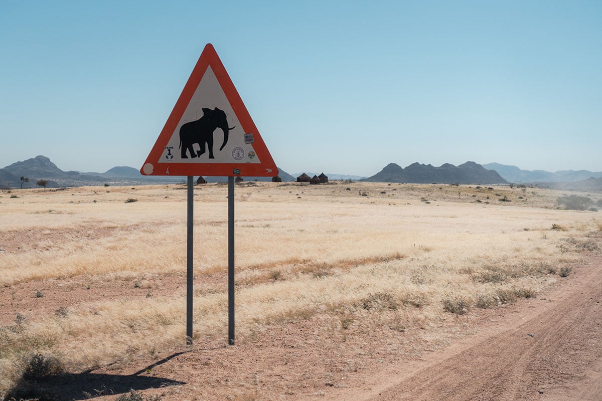 Bord olifanten Damaraland