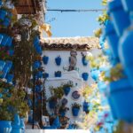 blauwe bloempotten tegen witte muren