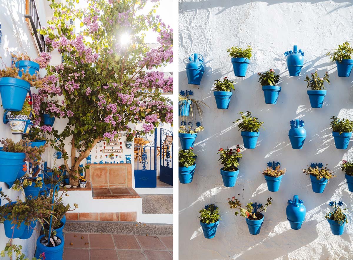 blauwe bloempotten met groene planten tegen witte muur
